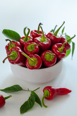 Red hot pepper