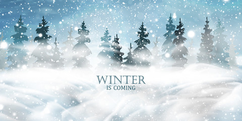 Winter is coming. Christmas, night, Snowy Woodland landscape. Holiday winter landscape for Merry Christmas with firs, coniferous forest, light, snow, snowflakes. Christmas scene. Happy new year.