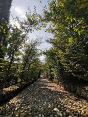 viale in pietra ciottolato con volta di arbusti e alberi
