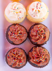 Cupcakes on a glass tray on a blue checkered tablecloth as seen from above. Multi-colored cupcakes with red velvet, vanilla, chocolate, lemon, and strawberry flavors with sprinkled frosting. 