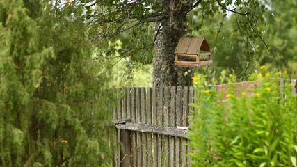 old wooden fence