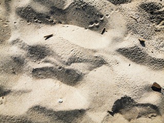 Texture of beach sand. Baltic sea coast