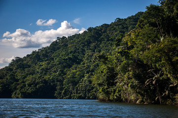 Forest e Lagoon photographed in the city of Cariacica, Espirito Santo. Southeast of Brazil. Atlantic Forest Biome. Picture made in 2012.