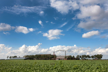 Grass drying industry. Netherlands. Clouds