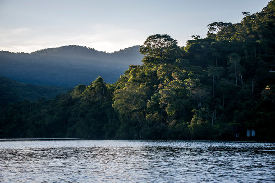 Forest and lagoon photographed in the city of Cariacica, Espirito Santo. Southeast of Brazil. Atlantic Forest Biome. Picture made in 2012.
