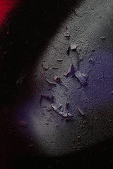 street animals sports food music flower sky