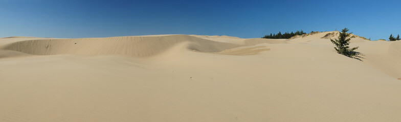 Oregon Dunes USA
