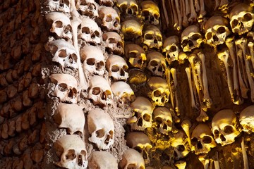 Bones