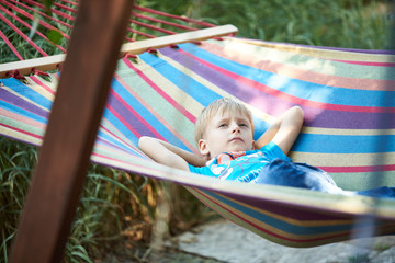 Little boy in a hammock in a summer park