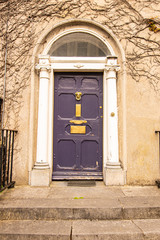 A purple door with columns in a street of row homes in Ireland