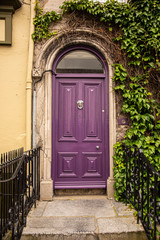 A purple door  in a street of row homes in Ireland
