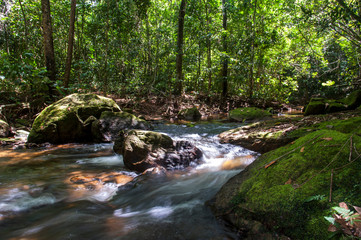 Stream photographed in the city of Cariacica, Esp&iacute;rito Santo - Southeast of Brazil. Atlantic Forest Biome. Picture made in 2012.
