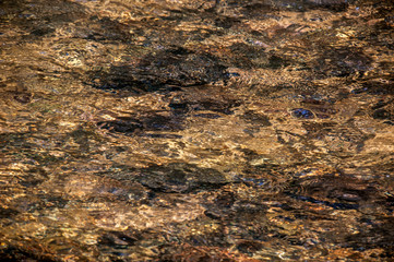 Stream photographed in the city of Cariacica, Espirito Santo. 