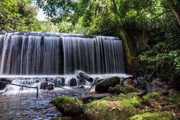 Forest and lagoon photographed in the city of Cariacica, Espirito Santo. Southeast of Brazil. Atlantic Forest Biome. Picture made in 2012.
