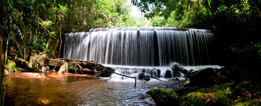 Forest and lagoon photographed in the city of Cariacica, Espirito Santo. Southeast of Brazil. Atlantic Forest Biome. Picture made in 2012.