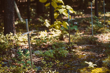 Three makeshift metal cross grave markers 