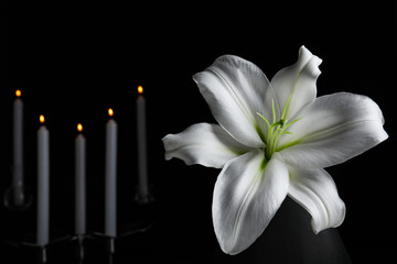 White lily and blurred burning candles in darkness, closeup with space for text. Funeral symbol