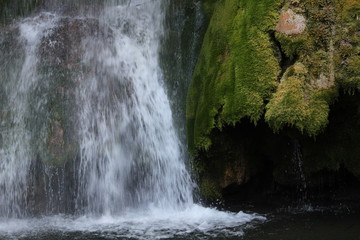 waterfall in forest
