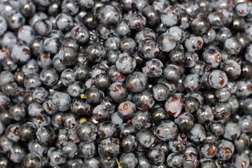 separated grape berries before the wine making process.