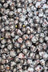 separated grape berries before the wine making process.