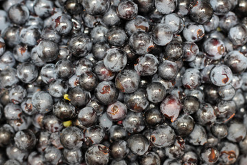 separated grape berries before the wine making process.
