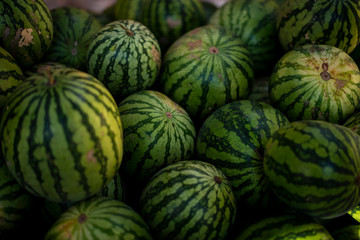 Watermelon 2