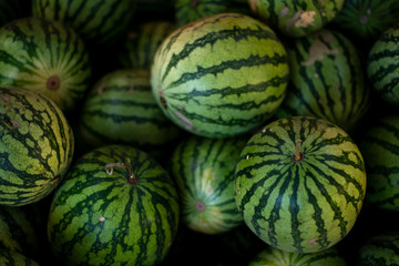 Watermelon