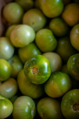 Green Tomatoes 