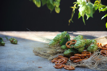 Green fresh hops, ears of wheat and pretzels on the table. Ingredients for brewing and beer snacks. Black background.