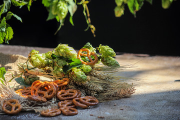 Green fresh hops, ears of wheat and pretzels on the table. Ingredients for brewing and beer snacks. Black background.