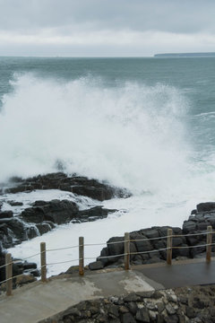 「モユルリ島」の画像 33 件の Stock 写真、ベクターおよびビデオ Adobe Stock