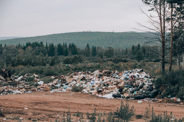 Illegal landfill in the middle of the forest and field. Mountains of garbage on a background of wildlife.