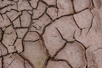 The earth is cracked due to a drought. Pieces of land divided by cracks. Textured abstract background for wallpaper.