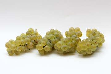 isolated green bunch of grapes on a white background
