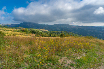 Colorful countryside nature background landscape with mountains in the distance