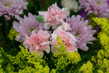 Group of flower Combination. Fresh flowers arranged together on a vase. Pink carnation is being organized in conjunction with other flowers.
