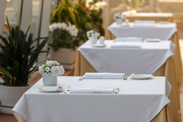 Table setting in the restaurant