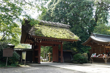 Thatched roof at the entrance of the temple
