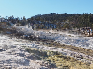 Yellowstone - Wyoming