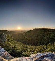 mountain top scenic view of canyon valley below surrounded by forest trees and plants