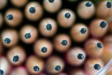 Close up front image of stacked pencils tip.shallow focus effect..