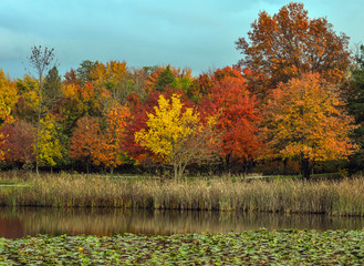Autumn in the North Chagrin Reservation