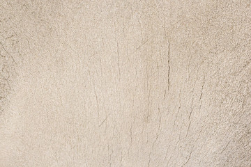 Close-up photography of the bone