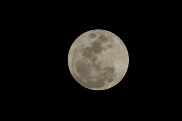 a close up of a full moon © elvis santana