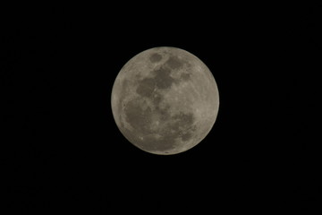 a close up of a full moon © elvis santana