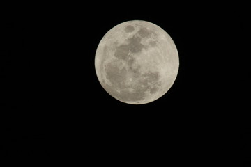 a close up of a full moon © elvis santana