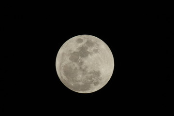 a close up of a full moon © elvis santana