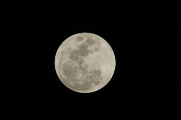 a close up of a full moon © elvis santana