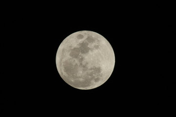 a close up of a full moon © elvis santana