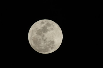 a close up of a full moon © elvis santana
